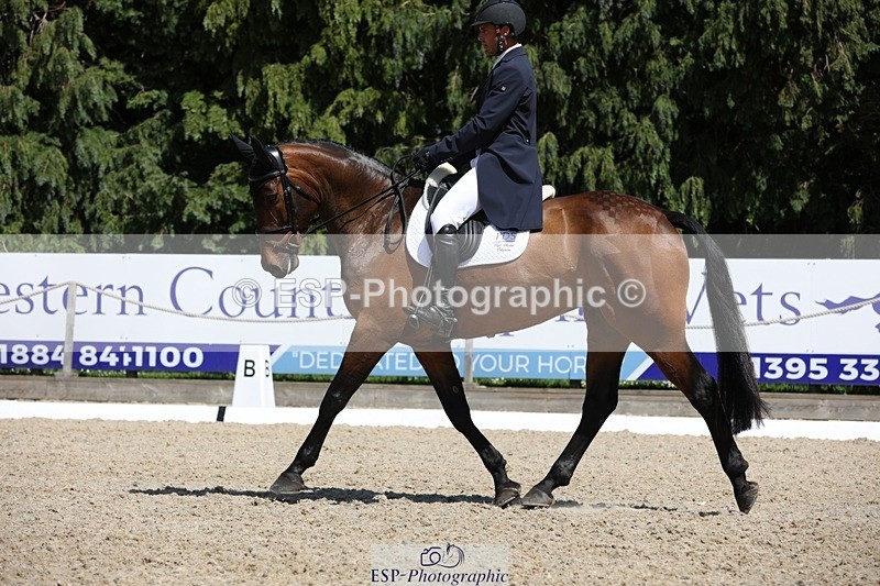 230526-144130-06518 - 374-ISLANDWOOD_THE_RISING-Sebastian_Roldan_Olivera-WEDTrotUp+DR