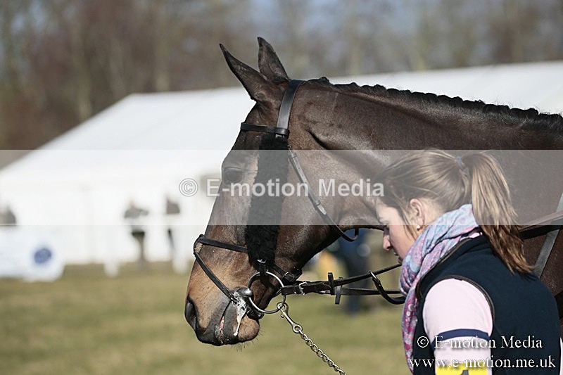 PtP 240218 197 - Vine & Craven Hunt Point-to-Point Barbury racecourse 24/02/18