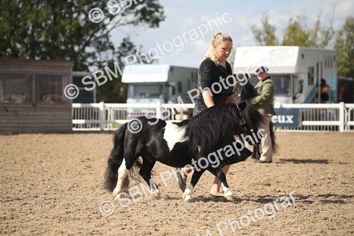 SBM_23106 - Class 606 - 2026 - Area - IH Pre Vet