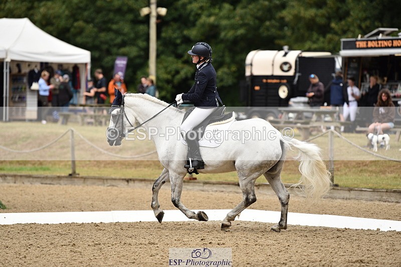 140110A-002800-10619 - 080-Polly.Vogel-Loughamore.Lady