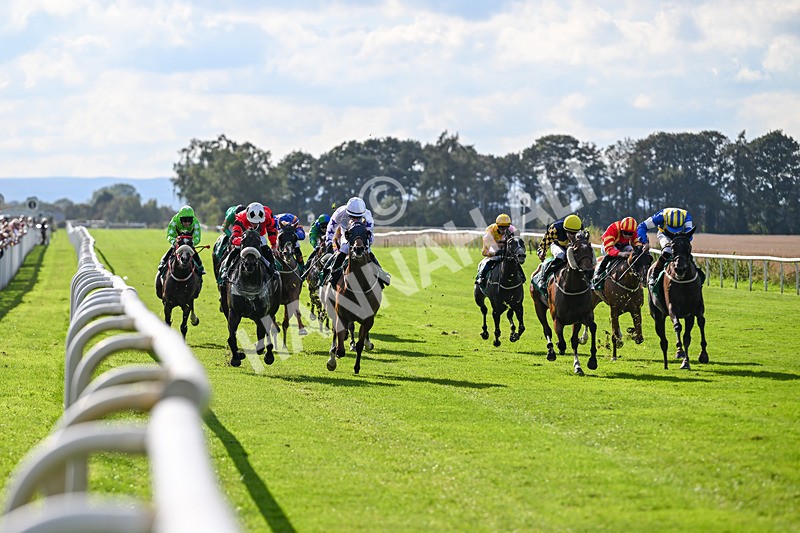 140926-Race 4-Lamlash Bay-7210 - Race 4 3.51pm Sapphire Selling Handicap