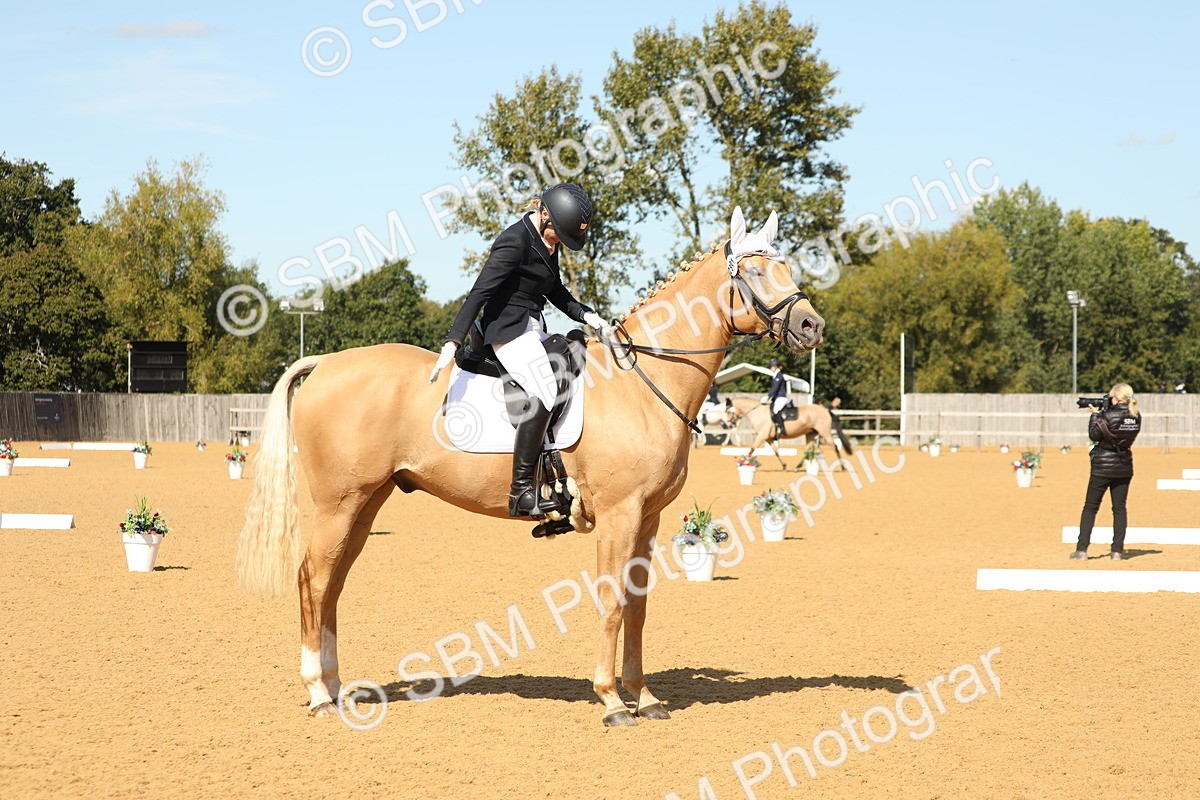 SBM_22338 - D17 - Grand Tour Championship - Novice 27