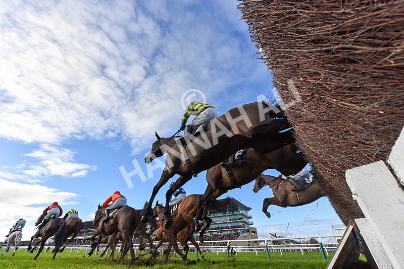 141224-Race 3-Trapista-9346 - Race 3