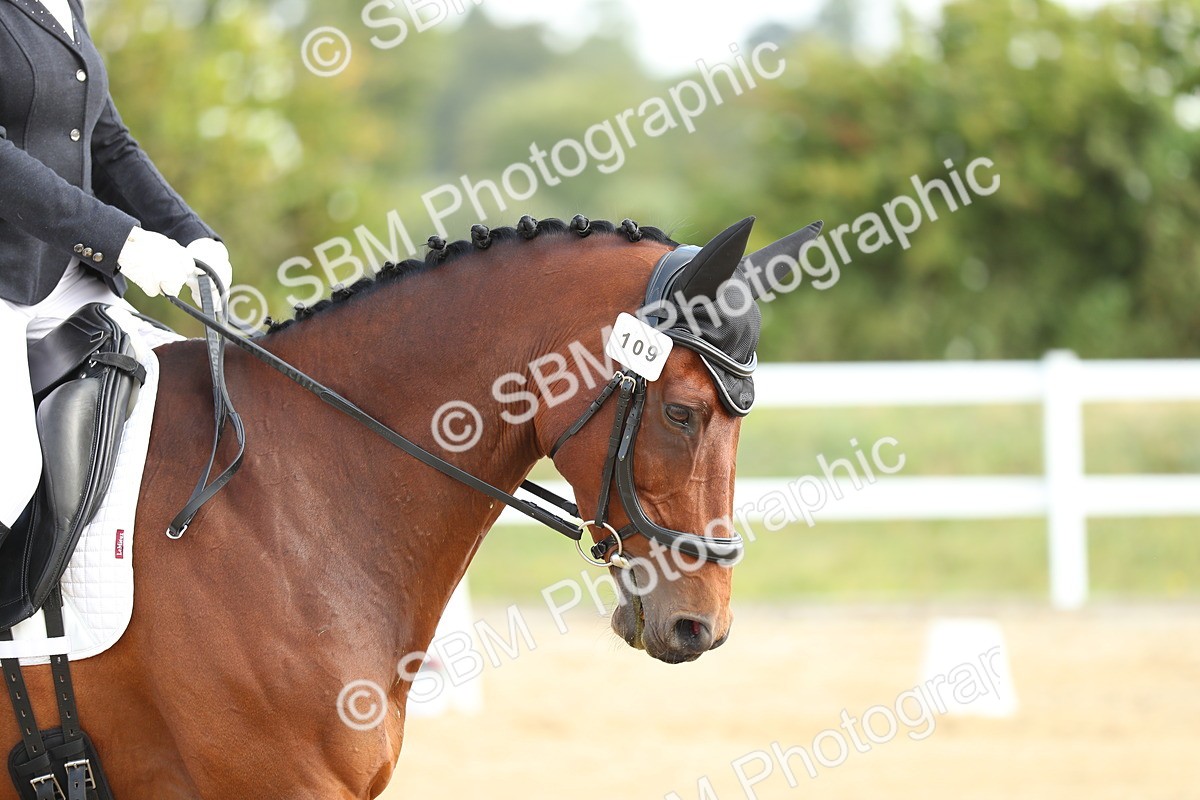 SBM_015471 - Class 14 - Novice 23 - 10.29-11.32