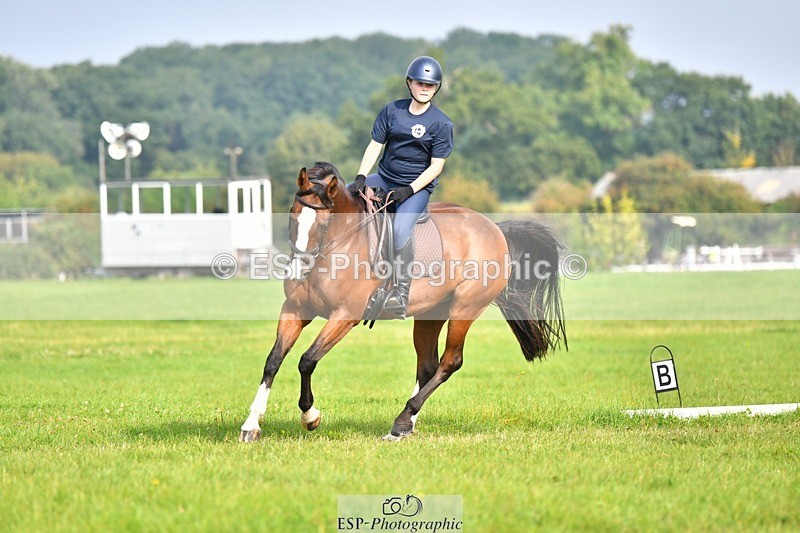 230817-093400-02593 - Abbie's 1st Group - Dressage
