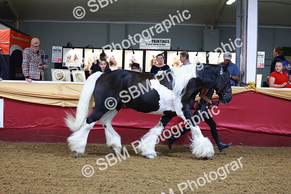 SBM_14718 - Class C - Novelty champ