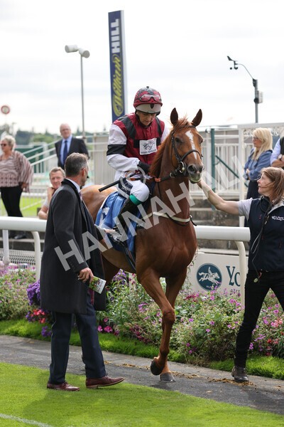 yr24092021r1-58 - Race 1 1.10pm Ernest Cooper Macmillan Ride of Their Lives