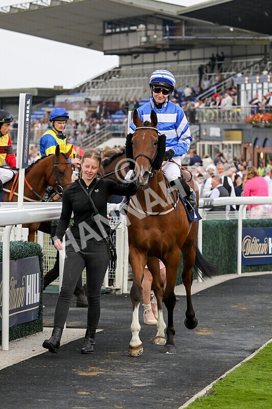 310824-Race 8-This Years Love-2374 - Race 8