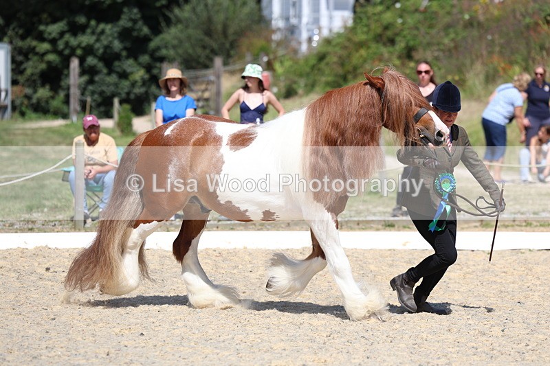 3E7A9877 - In Hand Championship