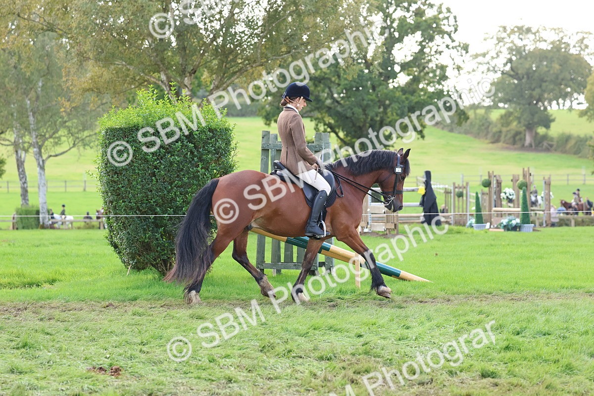 SBM_47622 - S28 - Veteran Ridden