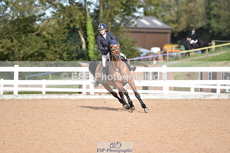 231015A-130248-08183 - Cls 25 95cm Amateur Q 2nd R