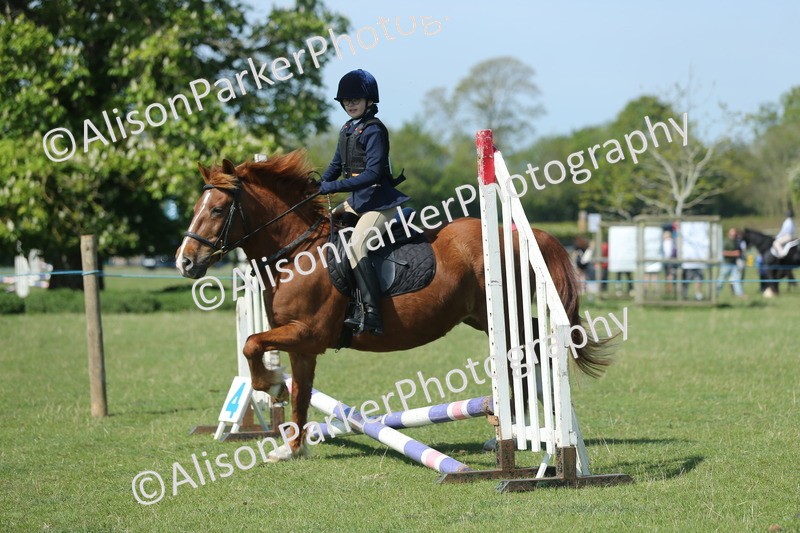 20250427-1911 - Class 2 - Mini Jumping 30cm