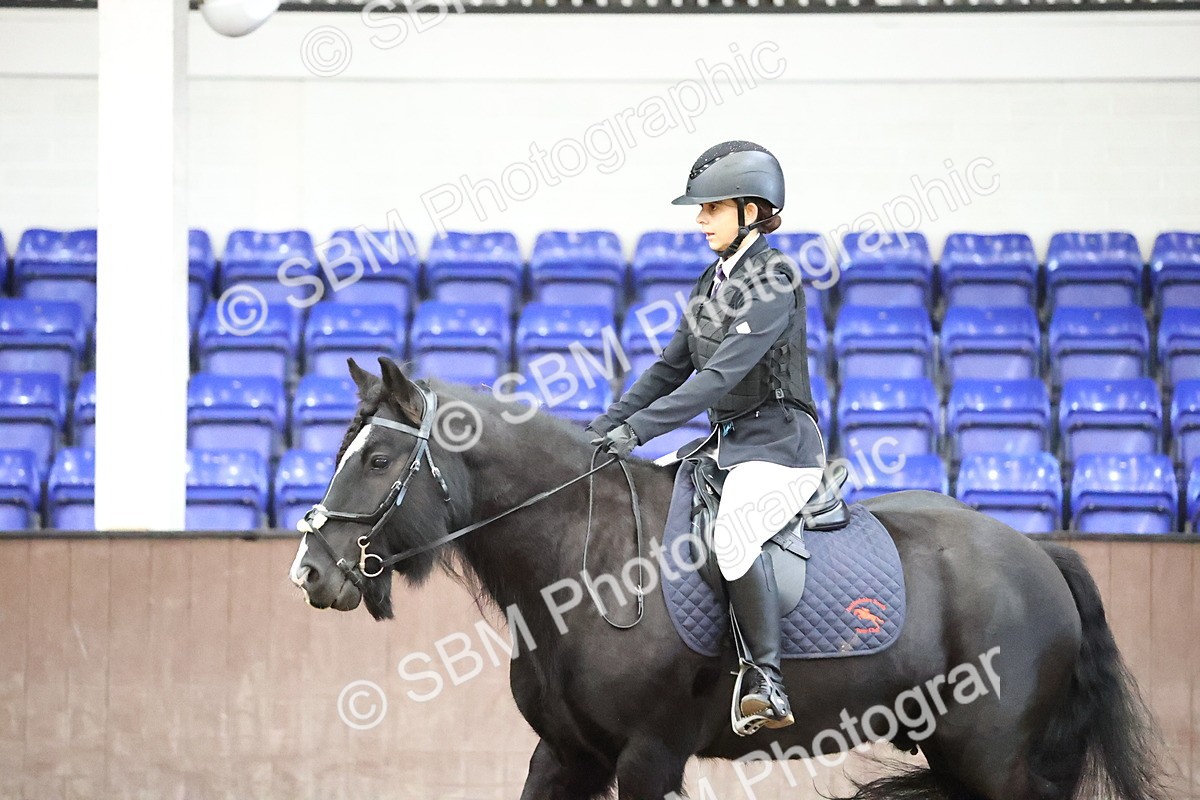 SBM_000185 - Class 2 - The Rug Lady 40cm Area 12 Championship Qualifier