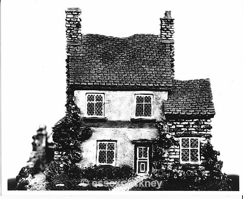  - X-ray film /prints