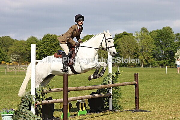 IMG_4828 - Working Hunter
