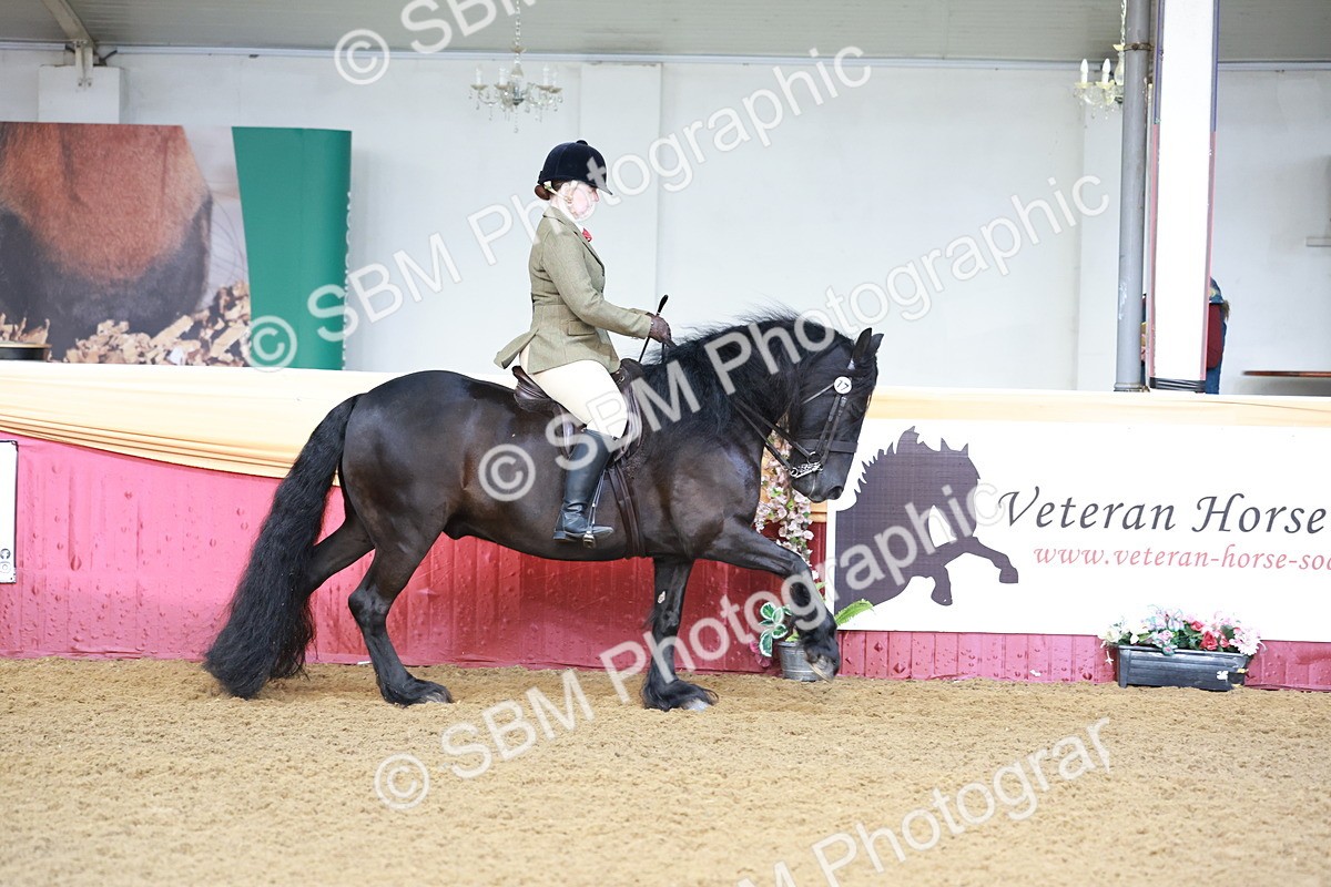 SBM_11822 - Class 102 - Equitation (Best Rider) Adult