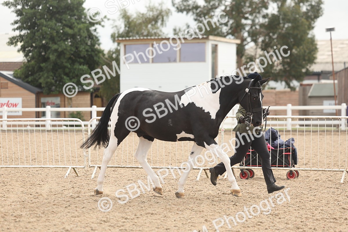 SBM_02079 - Class 15 - IH Coloured