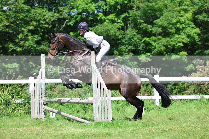 3E7A7047 - Class 30: Novice Working Hunter