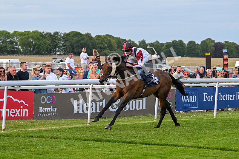 170625-Race 4-Nibras Gold-6775 - Race 4
