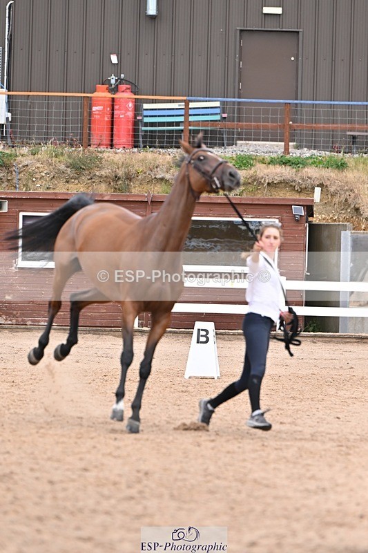 250716-141820-01003 - Trot Up 1.30 to 2.30