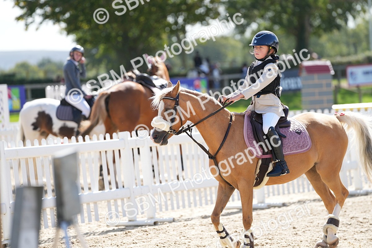 SBM_18156 - J58 - Clear Round 50cm