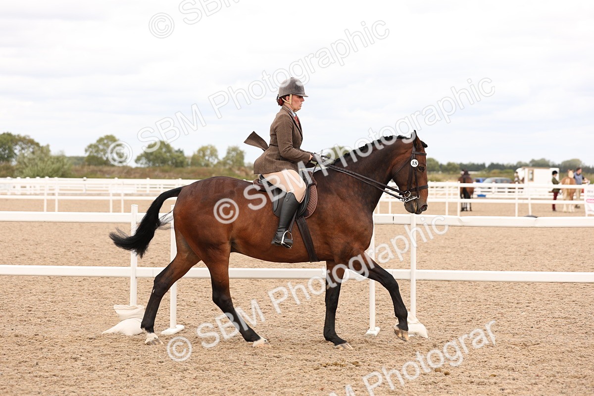 SBM_17208 - Class 213 - Ridden Hunter - Large