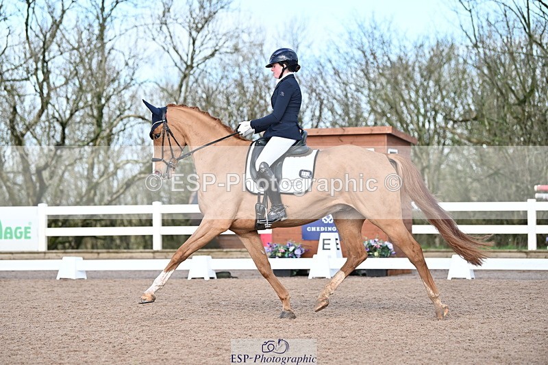 240218A-114158-06809 - 272-Beth.Bainbridge-Newton.Dreamcatcher