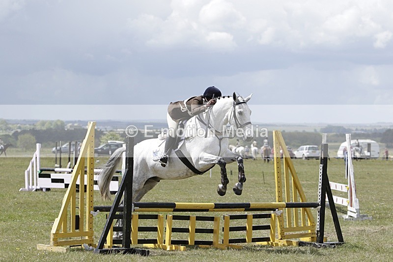 BVHT 140517 N-361 - Class 2 SJ Novice 14/05/17