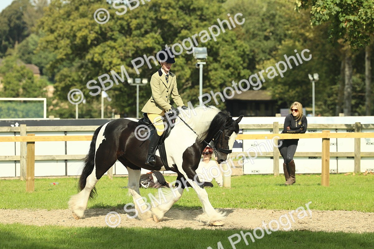 SBM_67595 - S56 - Coloured Pony Ridden