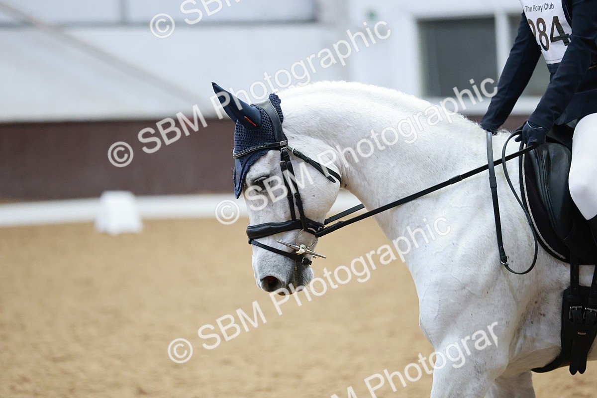 SBM_004009 - Class 2 - Novice 2020