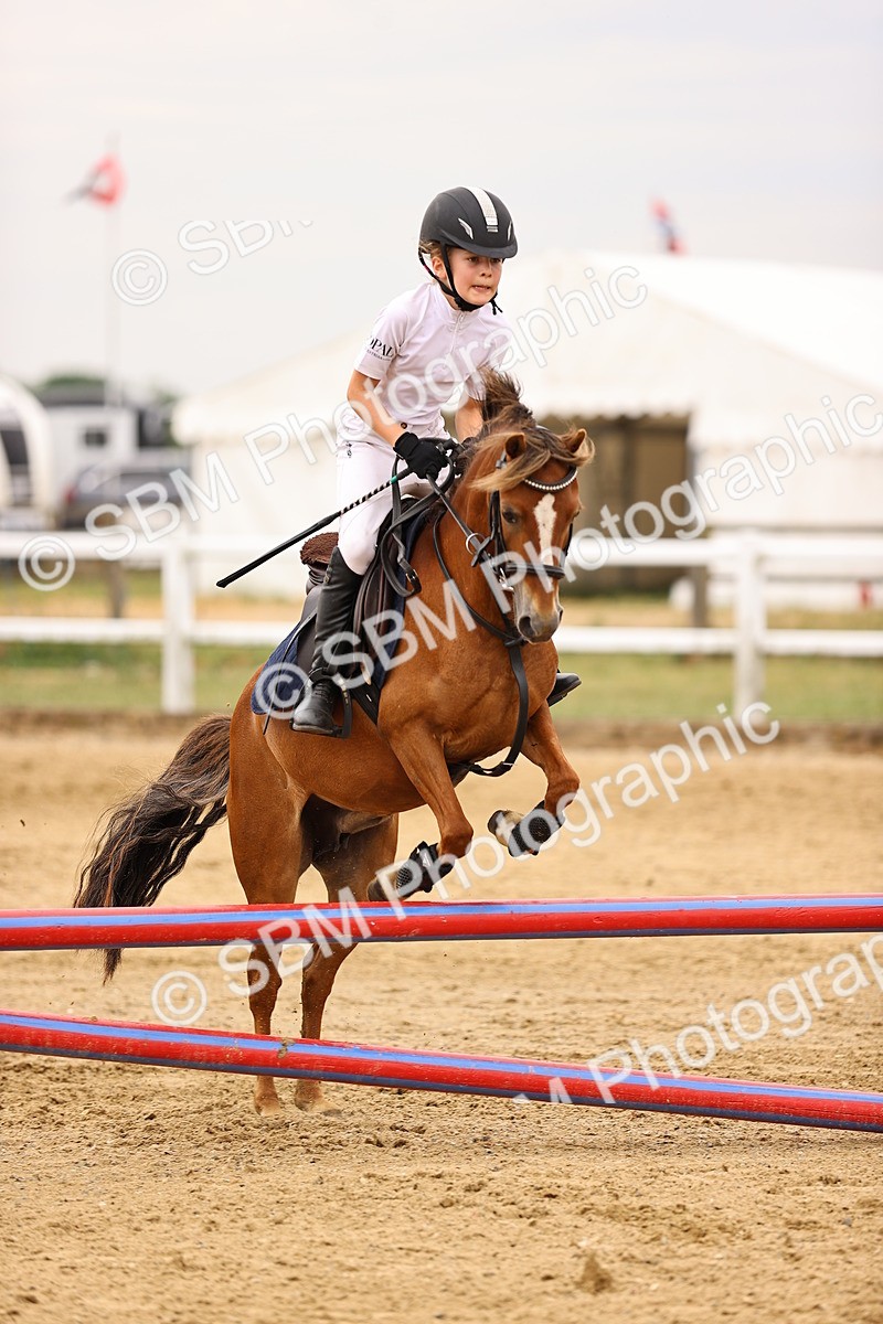 SBM_002206 - Class 3 - 60cm