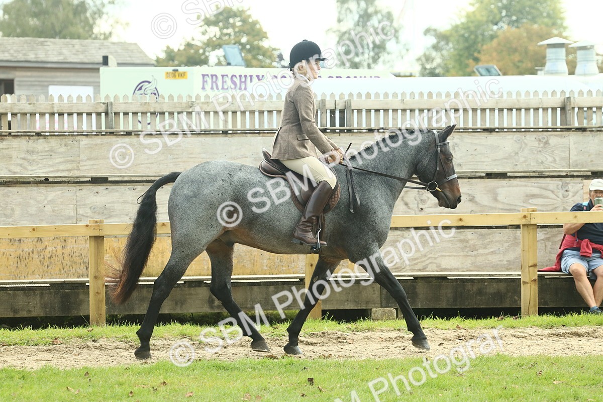 SBM_62582 - S63 - Other Coloured Horse Ridden