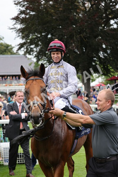 yr20082021r3-41 - Race 3 3.00pm Al Basti Equiworld Dubai Gimcrack Stakes