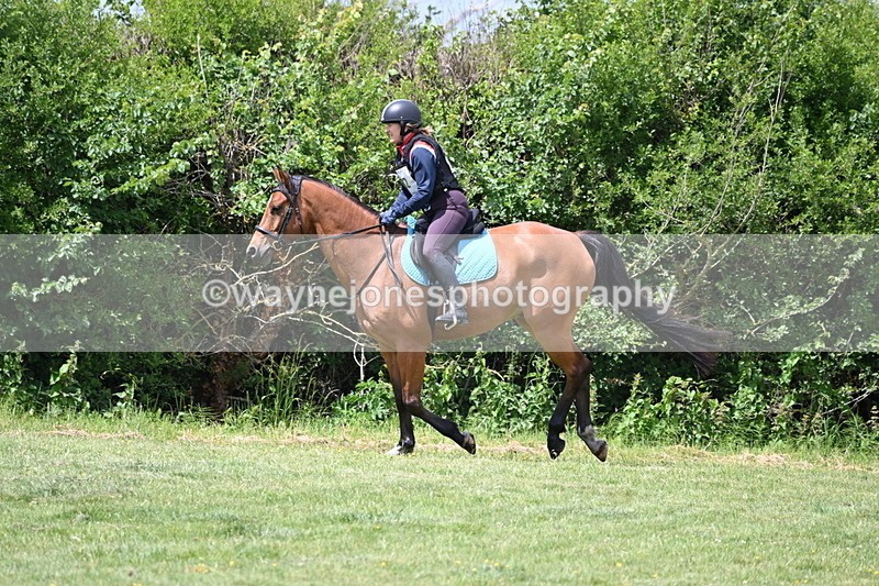 WJ6_3393 - Class 4 60cm