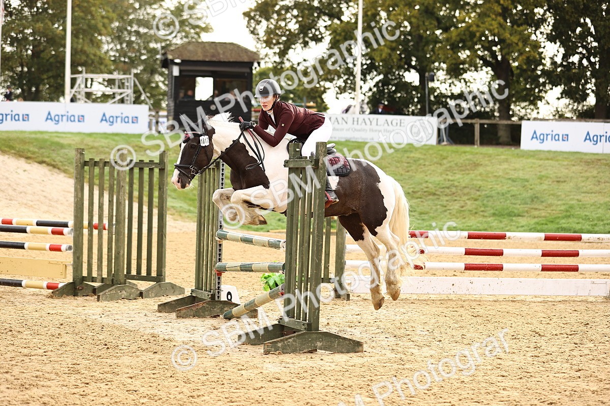 SBM_58218 - J41 - Grand Tour Horse & Pony 95cm