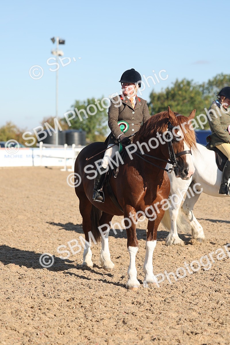 SBM_11133 - Class 302 - Ridden M&M Large Breeds