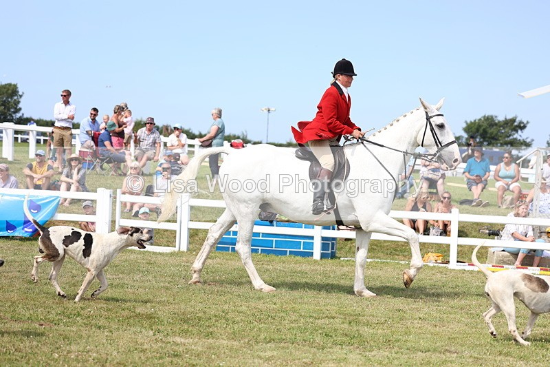 3E7A0183 - Parade of Hounds