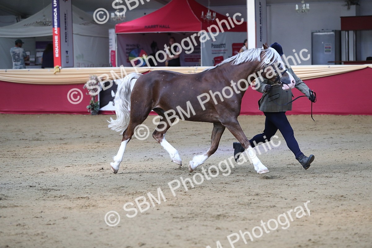 SBM_01353 - Class 3a Area IH Pre Vet