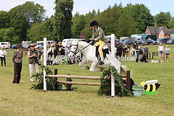 IMG_3023 - Working Hunter
