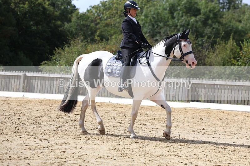 3E7A4043 - Class 9: Novice 6 Section B Championship