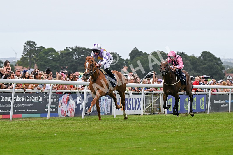 140824-Race 2-Stanhope Gardens-6033 - Race 2