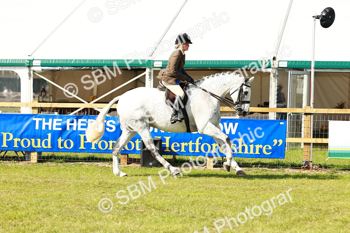 SBM_11960 - Class 66-69 - RIHS Ridden Hunters Inc Small Hunter