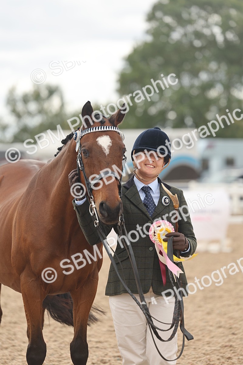 SBM_17166 - Class 313 - IH Retired Racehorse