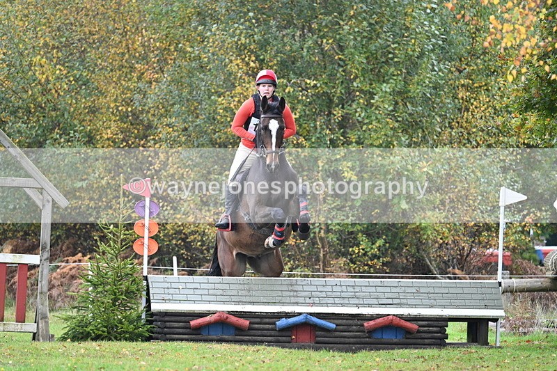 WJ7_0630 - 80cm Cam 2 Water Time 11:08 to 11:28