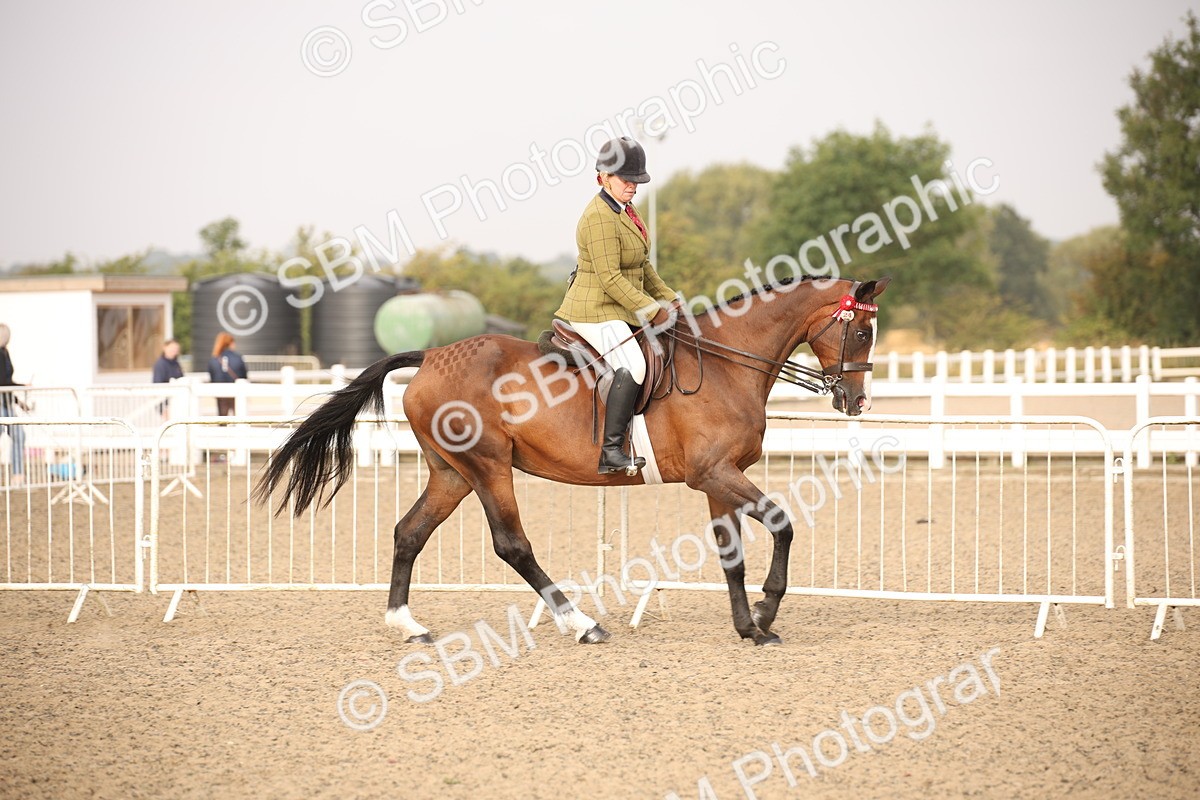 SBM_10209 - Class 402 Riding Club Horse