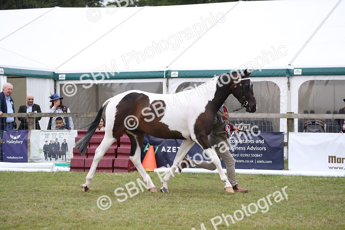 SBM_09808 - Ch 50 - Price Family Supreme In Hand