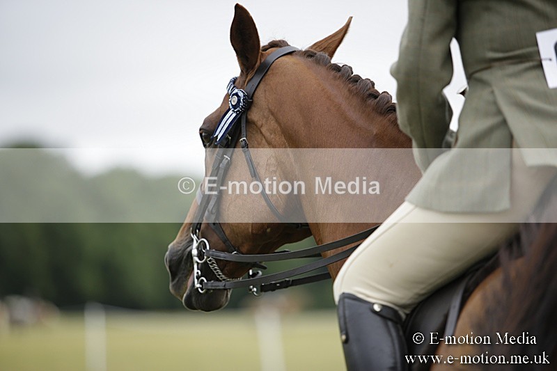 BVR160717-465 - Ring 1 BVRC Show 16/07/17