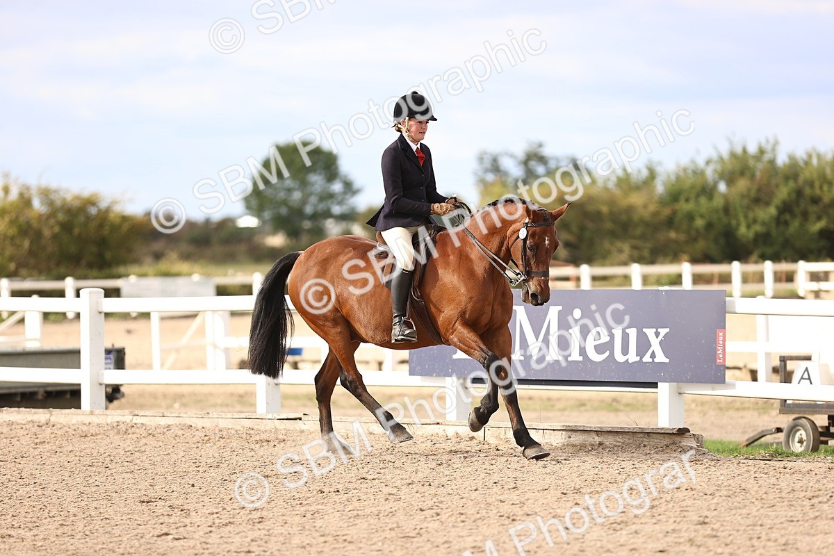 SBM_18187 - Class 423 - Equitation (best rider) Adult