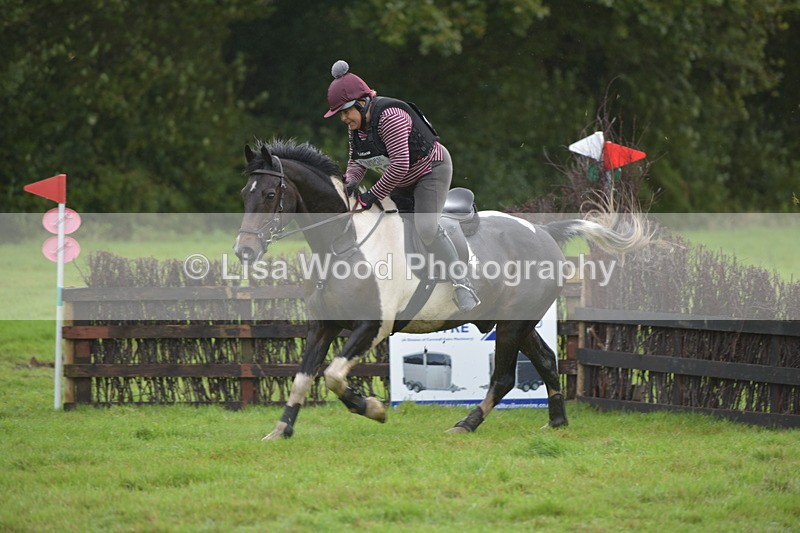 RAY_0309 - Class 4: 80cm: Double of Brushes