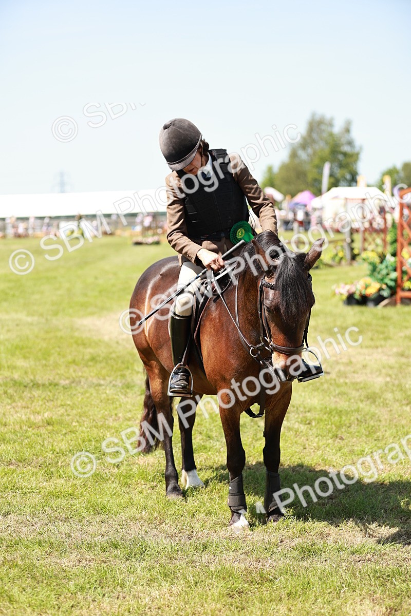 SBM_16427 - Class 110-111 - Training Stakes (70cms 80cms)